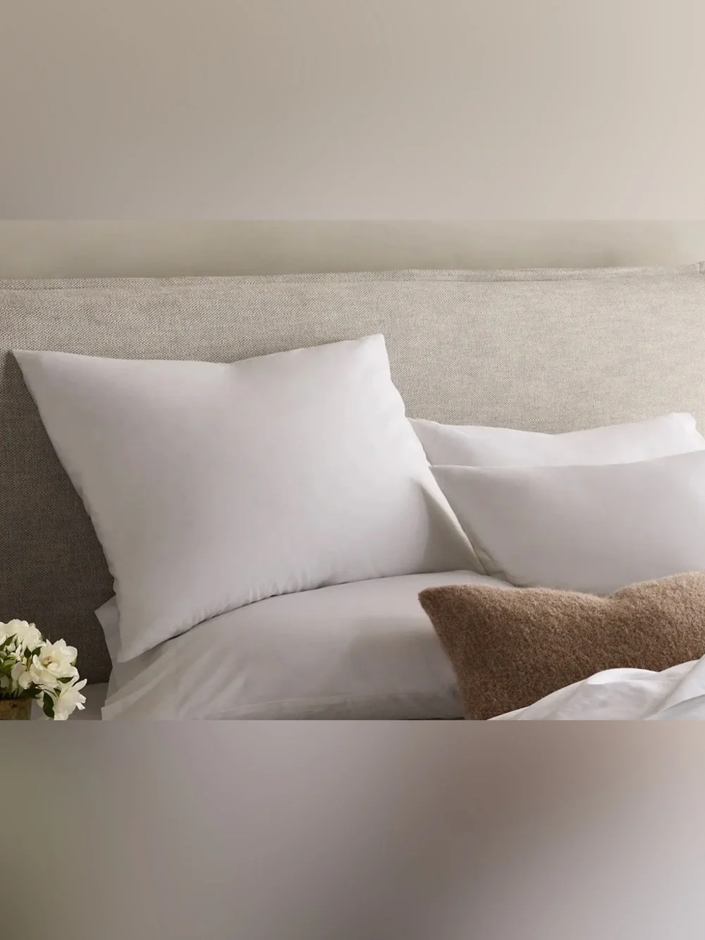 NWT Quince Organic Crisp Percale Sham Set, Standard (White)